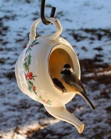 Teapot Birdhouse, Diy Bird Feeder, Pallet Decor, Diy Birds, Bird Houses Diy, Summer Decorating Ideas, Garden Yard Ideas, Summer Decorating, Bird Feeder