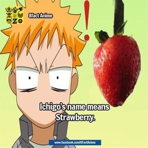 #Ichigo Bleach Anime, Trivia, Pikachu, Bleach, Family Guy, Comics, Memes, Anime, Fictional Characters