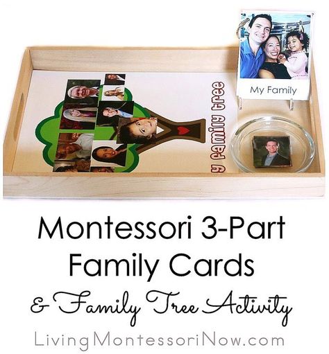 How to Prepare Montessori 3-Part Family Cards and Family Tree Activity Preschool Families Unit, Family Tree Activity, Tree Activity, Family Activities Preschool, Preschool Family, Best Toddler Gifts, Home Day Care, Montessori Art, Homeschool Crafts