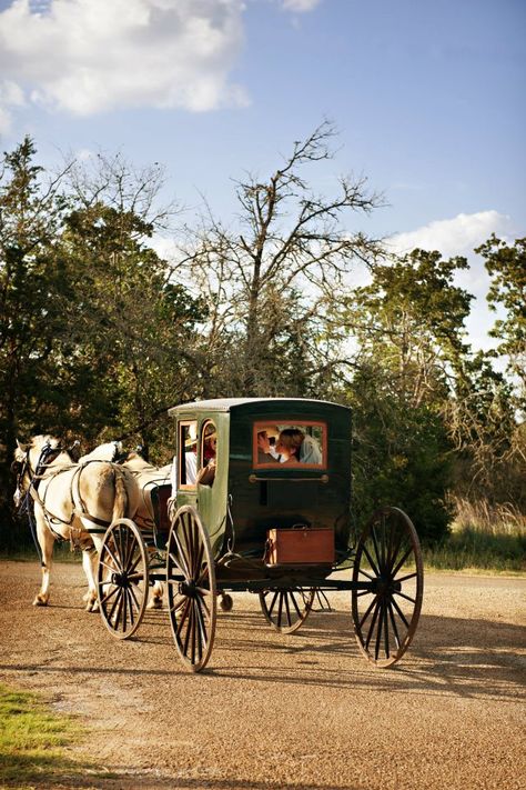 horse & carriage. Preferably in nature or in quaint little villages and towns as seen in Kerry Co, Ireland. Carriage With Horse, Horse With Carriage, Carriage Ride Aesthetic, Horse And Carriage Aesthetic, Horse Drawn Carriage Aesthetic, Horse And Buggy Carriage, Horse Carriage Aesthetic, 1800s Carriage, Carriage Aesthetic