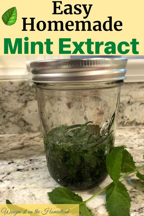 Homestead Beginner, Homemade Mint Extract, Farmhouse Food, Homesteading Recipes, Beginners Gardening, Homestead Recipes, Growing Mint, Homestead Kitchen, Preserving Herbs