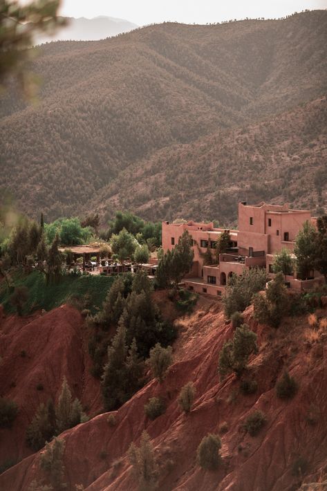 IS IT WORTH VISITING THE ATLAS MOUNTAINS DURING YOUR TRIP TO MOROCCO? Morocco Mountains, Blue Atlas Cedar, Casablanca Hotel, Morocco Trip, Travel Morocco, Atlas Mountains Morocco, Visit Morocco, Some Beautiful Pictures, Mountain Photography