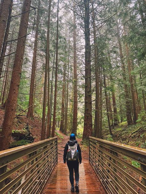 best backpack for a pnw packing list Pnw Trip, Explore City, Seattle Homes, Water Reservoir, Trekking Poles, Hiking Gear, Day Hike, Outdoor Adventure, Pacific Northwest