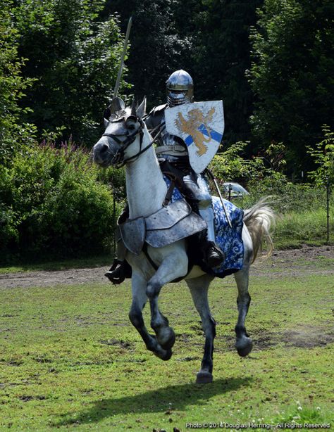 Sir Charles and Strider - Immortal Farms Ranch, Marysville, WA - July 5, 2014 Medieval Horse, Armor Drawing, Medieval Aesthetic, Historical Armor, Knight Armor, Horse Designs, Medieval Armor, Character Poses, Fantasy Costumes