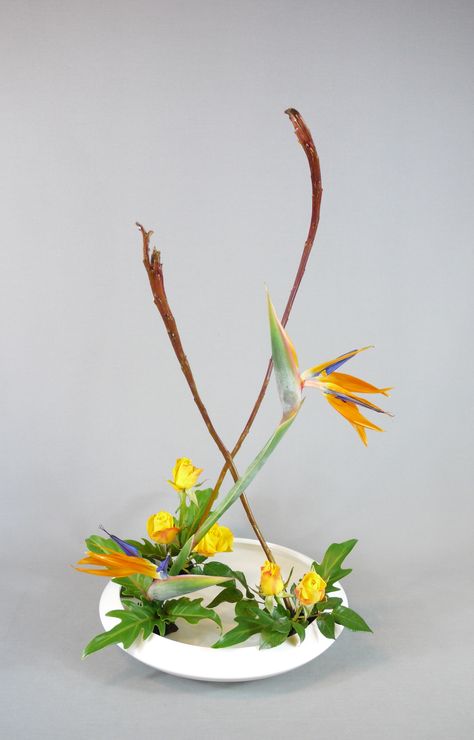 Ohara Ikebana, Ikebana, Floral Arrangements, Plants, Floral, Frankfurt