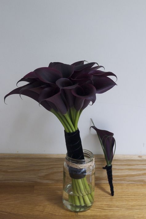 Black Calla lily bouquet Dark Calla Lily, Women Vest, Bouquet Meaning, Calla Lilies Bouquet, Lilies Bouquet, Black Calla Lily, Goth Garden, Calla Lily Bouquet, Gothic Garden