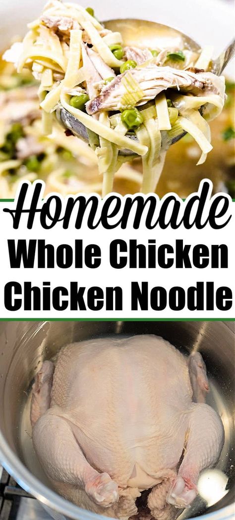 Whole chicken soup is here! How to make homemade chicken noodle soup with whole chicken, fresh or frozen and other recipes with this bird. Soup With Whole Chicken, Whole Chicken Soup, Chicken Soup Recipes Homemade, Best Chicken Noodle Soup, Flexitarian Recipes, Chicken Fresh, Cooking Whole Chicken, Homemade Chicken Soup, Homemade Chicken Noodle