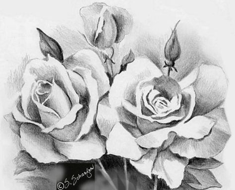 1000+ ideas about Rose Drawings on Pinterest | Drawings in pencil ... Pinterest Drawings, Flower Sketch Pencil, Drawing Techniques Pencil, Rose Drawings, Valentine Roses, Pencil Drawings Of Flowers, Rose Sketch, Beautiful Sketches, Valentines Roses