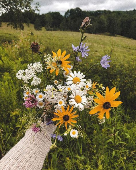 Kelsey 🦊🍂✨ on Instagram: “July’s wildflowers & new beginnings 🌸🌻🌼🌿✨” Alia Core, Cottagecore Life, Skin Details, Cottage Core Aesthetic, + Core + Aesthetic, Photo Couple, Love Couple, Cottage Core, New Beginnings