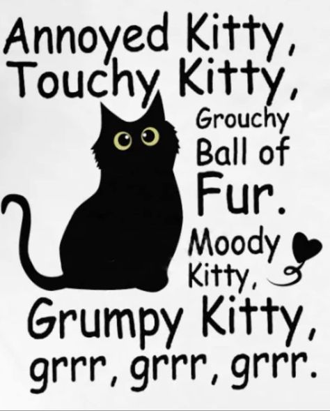 Grumpy Kitty, Grumpy Cat Quotes, Cat Language, Cat Quotes Funny, Black Cat Art, Cartoon Quotes, Cat Quotes, Cat Person, Funny Cute Cats