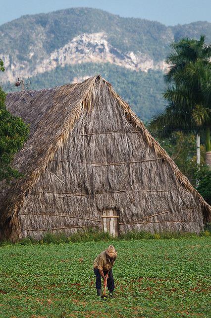 Vinales, Cuba Cuba Vinales, Vinales Cuba, Trip To Cuba, Cuba Photography, Cuban Food, Visit Cuba, Beautiful Countryside, Vinales, Cuba Travel