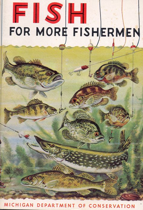 Vintage Fishing Michigan Department of Conservation Piece Fishing Posters Vintage, Fishing Bathroom, Michigan Fish, Fishes Illustration, Fish Posters, Fishing Images, Fishing Poster, Michigan Fishing, Fishing Art