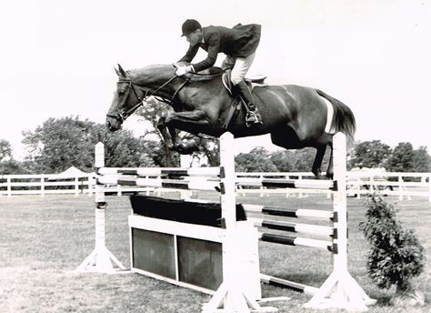 George Morris, Chestnut Mare, Hunter Jumper Horses, Cute Ponies, Hunter Jumper, Horse Equestrian, Interesting History, Horse Barn, Throwback Thursday