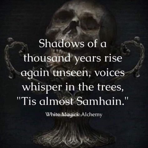 Sisters Of The Mists on Instagram: “Samhain approaches in full readiness. It has been a strange few months with the veil thinning so early. Drawing on our energy and emotions.…” The Veil Is Thinning, Veil Is Thinning, Solitary Witch, Blessed Samhain, Samhain Ritual, Witch's Cauldron, Lantern Tattoo, Gothic Photography, Magical Woodland