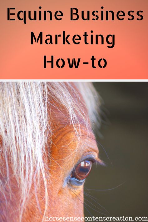 Equine Business Plan, Horse Buisness Ideas, Equine Business Marketing, Equine Therapy Business, Equine Business Ideas, Horse Business Ideas, Equine Massage Therapy Business, Horse Boarding Business, Equine Therapy Activities