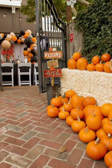 I am loving the cute and classic feel of this Enchanting Backyard Halloween Party by Juliette Kim of Confetti and Wishes, out of Belmont, CA USA! Filled with cute little spooks, adorable Halloween decor and tasty treats, this Halloween bash is wickedly darling! So pick a pumpkin and join in on the fun and be sure to spot these favorite details:  Pumpkin Patch Welcome Incredible Halloween Balloon Wall Black Lined Guest Tables with Adorable Halloween Centerpieces Faux Black Halloween Tre Backyard Pumpkin Patch, Diy Pumpkin Patch, Small Halloween Party, Kid Friendly Halloween Decorations, Patch Birthday Party, Enchanting Backyard, Backyard Halloween Party, Pumpkin Patch Birthday Party, Halloween Bday Party