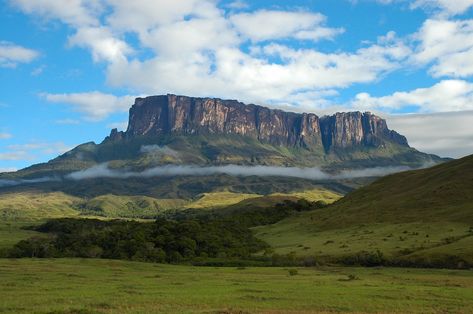 Monte Roraima, Mount Roraima, Mountain Formation, South America Map, The Lost World, Ancient Tree, South America Travel, Tourist Places, Sierra Nevada