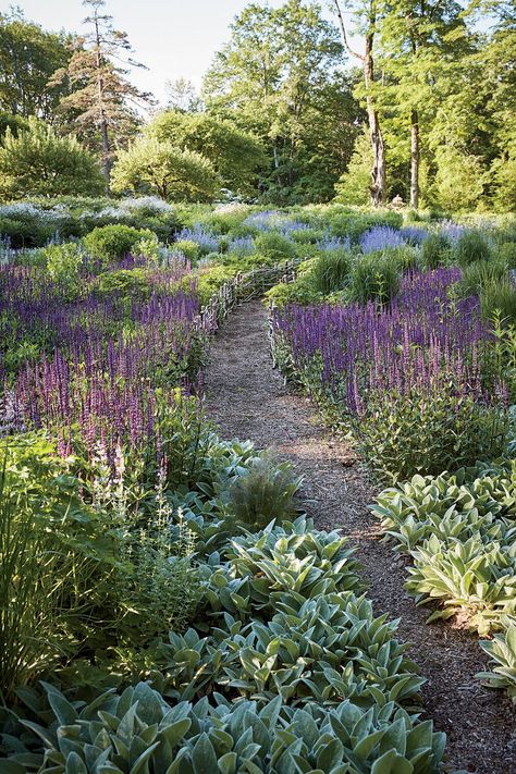 Dan Pearson, Ocean Garden, British Landscape, Garden Estate, Native Plant Gardening, Garden Screening, Landscape Designer, English Cottage Garden, Native Garden