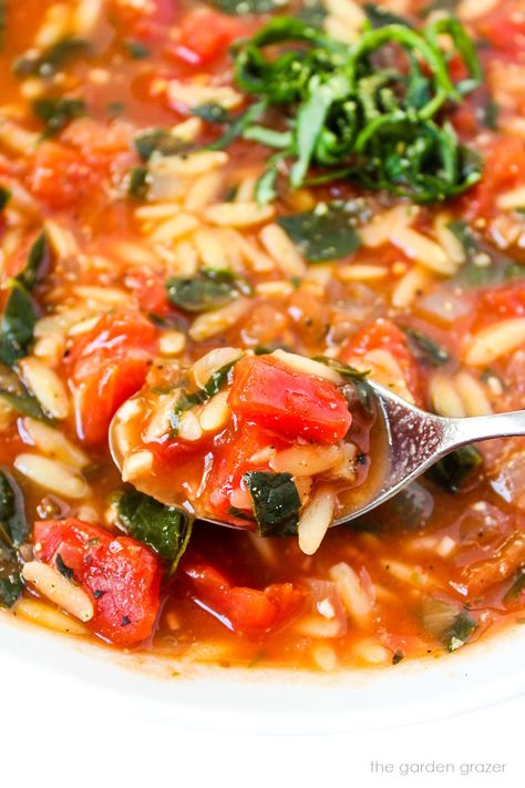 Tomato Orzo Soup with Spinach (Easy!) - The Garden Grazer Tomato Soup With Orzo, Tomato Orzo Soup, Rice Soups, Orzo Spinach, Tomato Orzo, Garden Grazer, Recipe With Spinach, Soup With Spinach, Easy Vegan Lunch