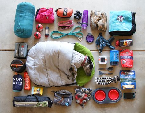 Puppy Gear, Dog Essentials For Camping, Dog Camping Photography, Camping With Dog Aesthetic, Dog Hiking Essentials, Dog Camping Gear, Dog Hiking Gear, Family Tent Camping, Dog Camping