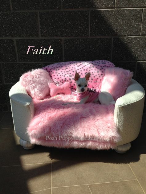 Doggie Beds, Diy Chat, Dog Bedroom, Cute Dog Beds, Puppy Room, Dog Mommy, Princess Dog, Fancy Dog, Puppy Beds