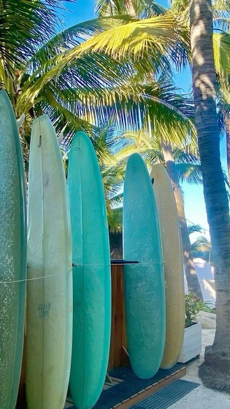 Actually, I need these boards Aesthetic Surfboard Wallpaper, Green Beach Aesthetic, Surf Board Aesthetic, Beach Products, Teal Beach, Surfing Aesthetic, Surf Aesthetic, Beachy Aesthetic, Surf Vibes