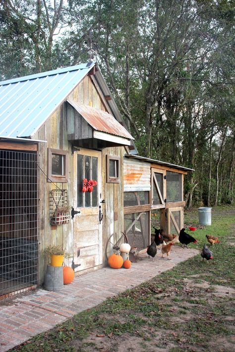 Rustic Chicken Coop Ideas, Chicken Coop In Shed, Chicken Coop Village Ideas, Chicken Coop Garden Layout, Chicken Coop Paint Color Ideas, Cool Chicken Coop Ideas, Chicken Coop Garden Ideas, Chicken Home Ideas, Reclaimed Chicken Coop