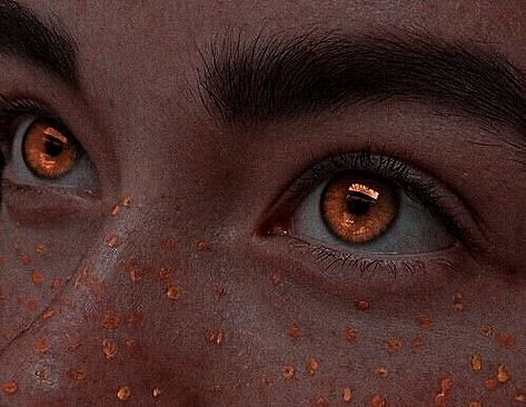 Witcher Wallpaper, Werewolf Aesthetic, Amber Eyes, Magic Aesthetic, Aesthetic Eyes, Fantasy Aesthetic, Crescent City, 판타지 아트, Her Eyes