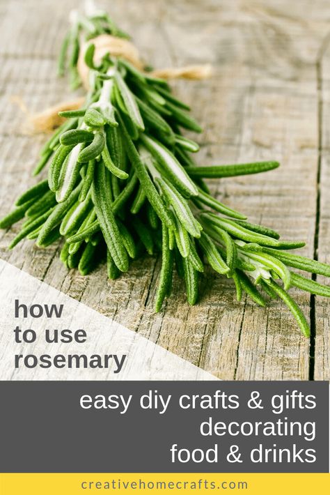 Learn how to use rosemary creatively for the holidays. Guide for DIY gifts, home holiday decor, party foods and beverages and more. Free printable project sheets and recipe from CreativeHomeCrafts.com. Rosemary Diy Ideas, Rosemary Candle Diy, Rosemary Diy, Rosemary Cocktail, Rosemary Simple Syrup, Rosemary Plant, Rosemary Sprigs, Diy Holiday Gifts, How To Dry Rosemary