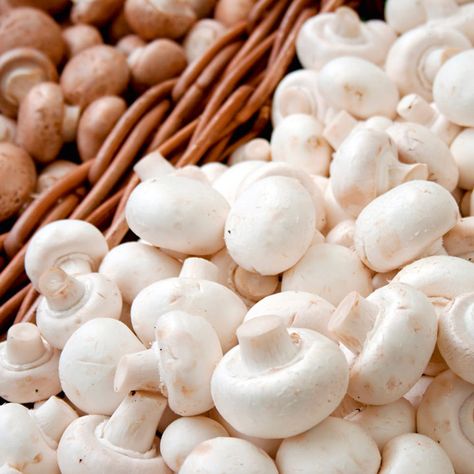 How To Grow Mushrooms, Cauliflower Plant, Grow Mushrooms, Sweet Pea Plant, Asparagus Plant, White Button Mushrooms, Mushroom Kits, Mushroom Growing, Broccoli Seeds