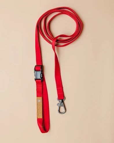 WALK | DOG & CO. Walk Dog, Collars And Leashes, Nyc Shopping, Dog Leads, Pet Products, Your Pet, Pet Dog, Collar And Leash, Pet Accessories