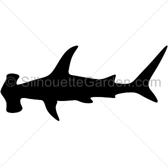 Hammerhead Shark Silhouette Shark Outline Drawing, Scalloped Hammerhead, Shark Outline, Shark Tumbler, Underwater Party, Shark Silhouette, Fish Template, Ocean Room, Cricut Air