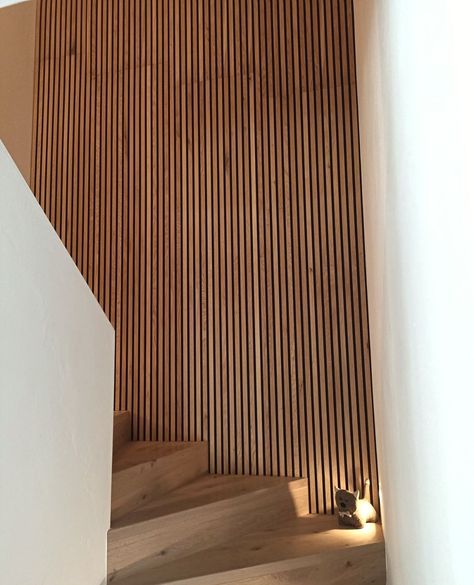 Wood Panel Walls Stairs, Curved Slat Wall, Plywood Slat Wall, Wood Panels Hallway, Wood Slat Wall Stairs, Slat Wall Stairwell, Wood Slat Stair Wall, Acoustic Panel Design Ideas, Slat Wall Stairs