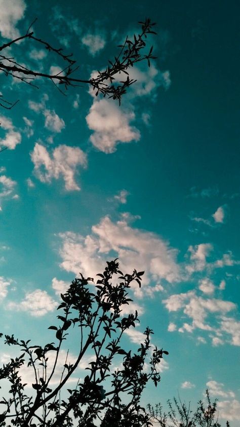 Sky Anime, Blurred Background Photography, Wallpaper Sky, Beautiful Profile Pictures, Iphone Wallpaper Landscape, Wallpaper Nature Flowers, Photo Background Images, Beautiful Landscape Wallpaper, Beautiful Photos Of Nature