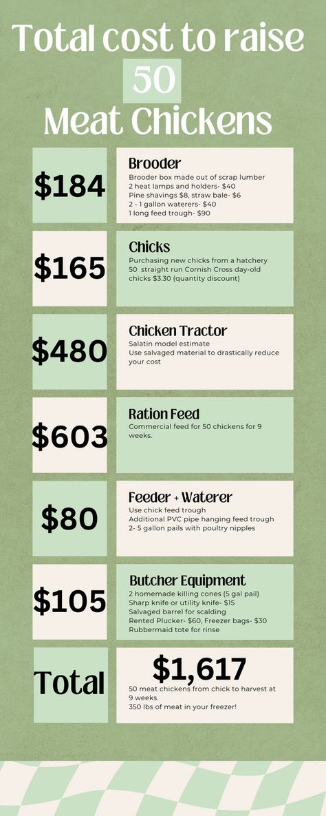 Complete cost breakdown for everything you need to raise your own meat chickens. From new baby chicks, to how much feed will cost for the entire 9 weeks- butchering set up and prices included.  The frugal options vs. the elaborate convenient route. Raising Chickens For Meat, Best Meat Chickens, Chicken Hacks, Butcher Meat, Chicken Brooder, Chickens Farm, Broiler Chicken, Day Old Chicks, Chicken Tractors