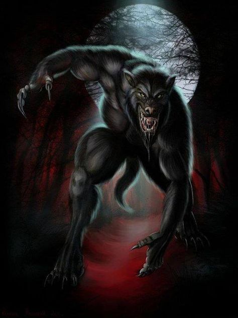 werewolf Magical Wolf, Werewolf Aesthetic, Wolf Artwork, Werewolf Art, Geniale Tattoos, Vampires And Werewolves, Canine Art, Wolf Spirit, Creatures Of The Night