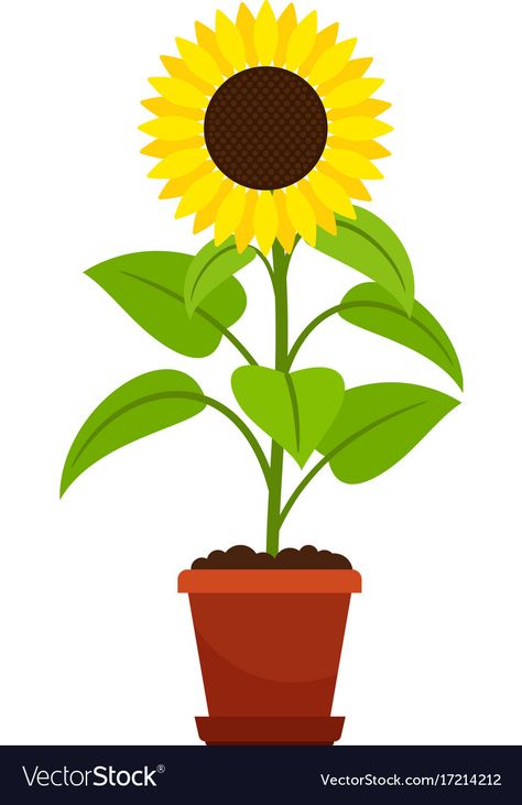 Sunflower plant in flower pot Royalty Free Vector Image Flower Pot With Flowers Drawing, Sunflower In A Pot Drawing, Sunflower In A Pot, Flower Pot Digital Art, Cartoon Sunflower, Sunflower Garden Drawing, Plants Sketch, Flower In Pot, Sunflower Plant