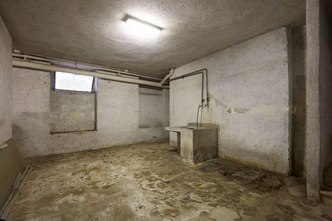 How To Clean Concrete Floors in the Basement Cleaning Concrete Floors, Cleaning Pet Urine, Concrete Basement Floors, Concrete Basement, Open Basement, Concrete Cleaner, Dry Basement, Clean Concrete, Soundproofing Material