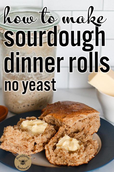 Sourdough Dinner, Sourdough Dinner Rolls, Sourdough Rolls, Whole Wheat Sourdough, Sourdough Starter Discard Recipe, Sourdough Starter Recipe, Homemade Dinner Rolls, Baked Rolls, Dinner Rolls Recipe