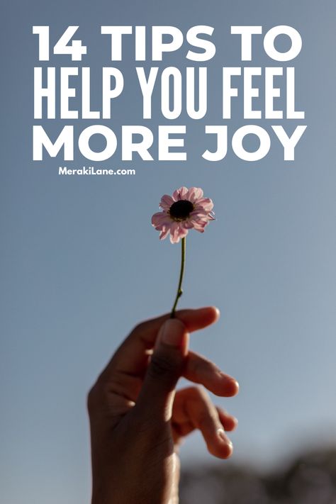 How To Be Mindful In Your Daily Life, How To Find Joy, 2025 Reset, How To Be Joyful And Happy, Simple Ways To Improve Your Life, How To Find Joy In Life, Bring Joy Into Your Life, How To Find Joy Again, How To Find Joy In Life Again