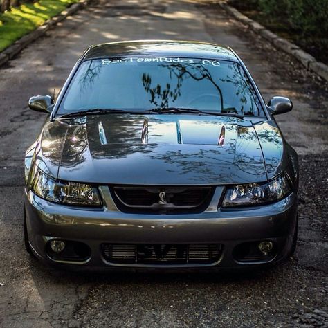 03/04 Ford Mustang SVT Cobra Terminator Cobra Terminator, 2003 Mustang, Ford Svt, Surprise Date, Dream Whip, Mustang Sally, Ford Mustang Cobra, Mustang Cobra, Car Wallpaper