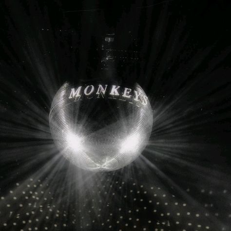 Arctic Monkeys Profile Pic, Arctic Monkeys Disco Ball, Arctic Monkeys Phone Theme, Mirrorball Widget, Arctic Monkeys Widget, Arctic Monkeys Mirrorball, Artic Monkeys Icons, Arctic Monkeys Pfp, Arctic Monkeys Concert Outfit