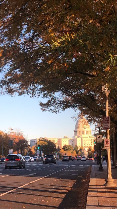 Dc Internship Aesthetic, Living In Dc Aesthetic, Christmas In Dc, Dc Aesthetic, Dc Trip, College Motivation, Post Grad Life, American University, Summer Internship