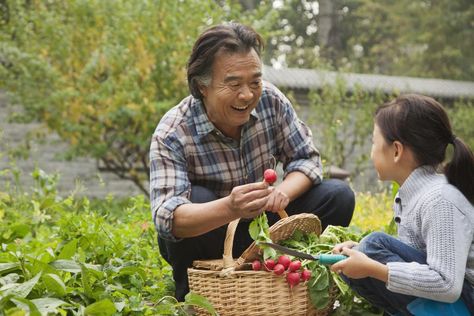 Bucket Gardening, Low Impact Cardio, Bones And Muscles, Benefits Of Exercise, Senior Fitness, Gardening For Kids, Regular Exercise, Physical Activities, Bananas