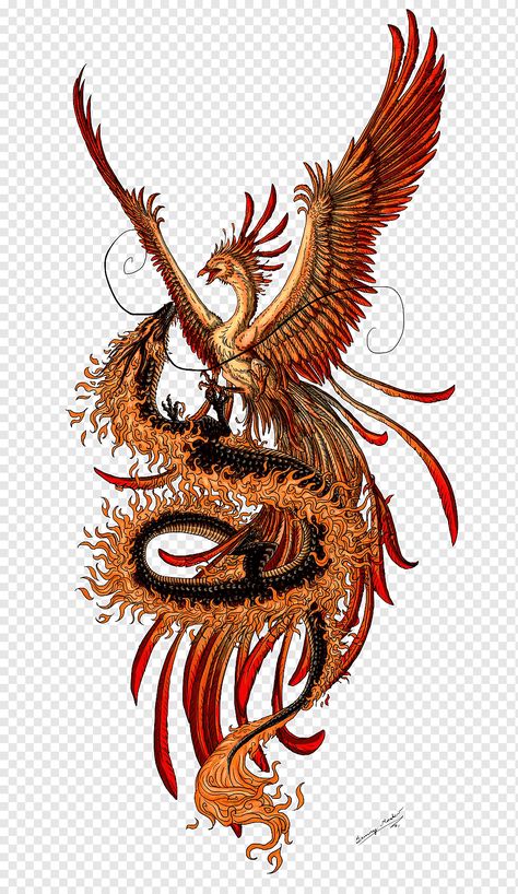 Dragon Phoenix Yin Yang Art, Fenghuang Tattoo, Phoenix Chinese, Demon Dragon, Phoenix Drawing, Phoenix Bird Tattoos, Phoenix Artwork, Phoenix Dragon, Phönix Tattoo