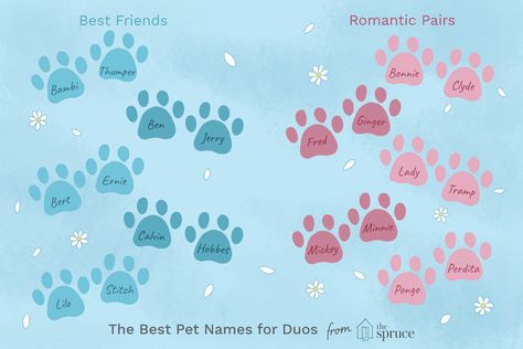 Browse through lists of possible names for pairs of pets. Get inspiration for duos including siblings, romantic pairs, BFFs, and silly combos. Pet Names Relationship, Duo Pet Names, Turtle Names Ideas, Romantic Pet Names, Pet Names For Cats, Puppy Litter Name Themes, Duo Names, Baby Pet Names, Good Girl Names