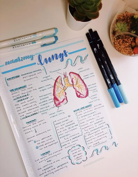 Anatomy notes Instagram: @endlessnotes_      #motivation #study #school #studygram #medical Respiratory System Aesthetic Notes, Aesthetic Med School Notes, Doctor Notes For Work Medical, Nurse Study Notes Aesthetic, Med Notes Aesthetic, Respiratory System Notes, Anatomy Notes Aesthetic, Medical School Notes, Study Planner Ideas