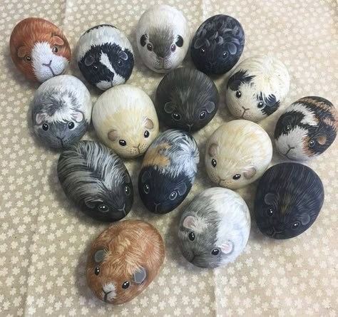 Guinea Pig Diy, Cute Guinea Pigs, Rock Painting Designs, Gourd Art, Rock Painting Art, Diy Creative Crafts, Fun Diy Crafts, Rock Crafts, Painted Stones