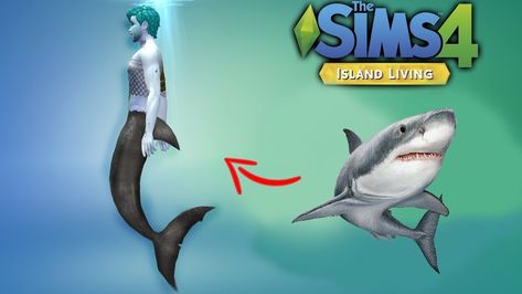 Shark Mermaid Tail, Shark Mermaid, Shark Slides, Shark Tail, All About Sharks, Sims 4 Studio, Shark Plush, Sims 4 Characters, Sims 4 Cc Packs