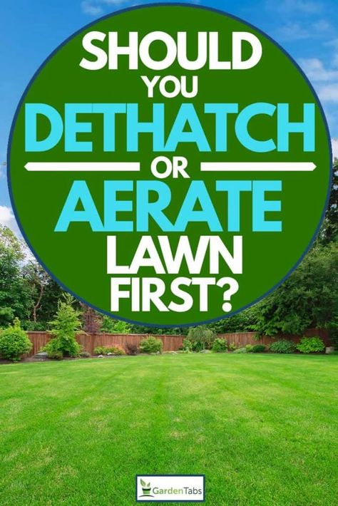 Thatching Lawn, Fall Lawn Maintenance, Lawn Care Diy, Dethatching Lawn, Marketing Learning, Lawn Renovation, Lawn Weeds, Lawn Care Schedule, Lawn Leveling